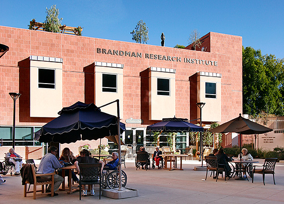 Brandman Research Institute Launched