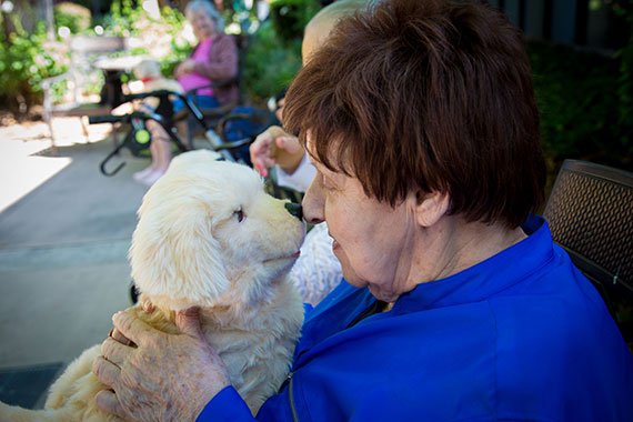 Robot Therapy Pets Inspire Joy and Sense of Purpose