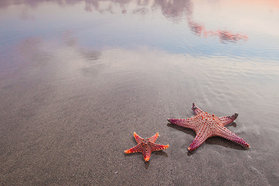 A Man, a Boy and the Ocean: Making a Difference